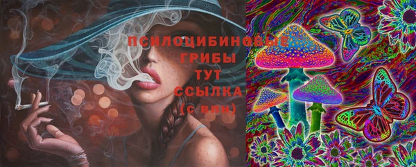 хмурый Алексин