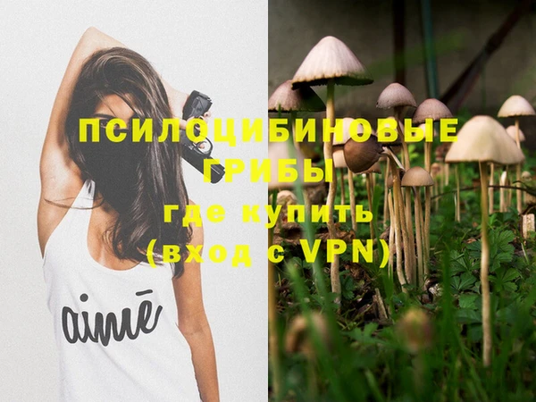 хмурый Алексин