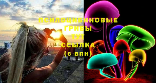 хмурый Алексин
