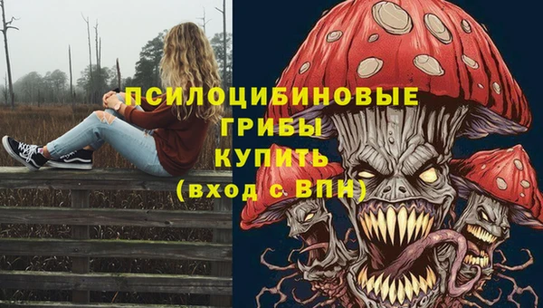 мяу мяу мука Алексеевка