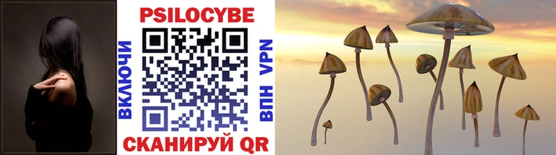 Галлюциногенные грибы Psilocybe  Санкт-Петербург 