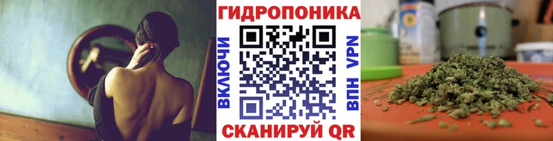 Конопля марихуана  Санкт-Петербург 